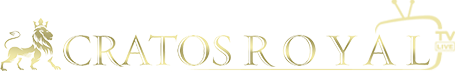 Partner 3